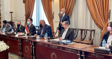 وزير الخارجية: توافق مصرى ماليزى حول القضية الفلسطينية وزير الخارجية: توافق مصرى ماليزى حول القضية الفلسطينية