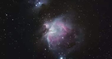 نجوم الجوزاء تزين ليالى الشتاء الباردة وتشاهد بالعين المجردة فى مشهد بديع