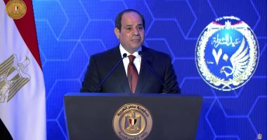 الرئيس السيسى: "فيه تمن كبير أوى اندفع عشان نوصل للمرحلة دى من الاستقرار"