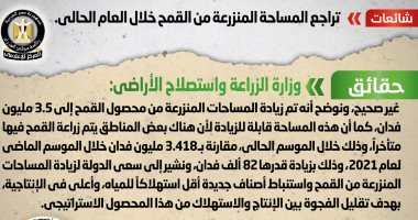 الحكومة تنفى تراجع المساحة المنزرعة من القمح خلال العام الحالى