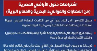 اشتراطات دخول الأراضى المصرية من المطارات والموانئ.. إنفوجراف