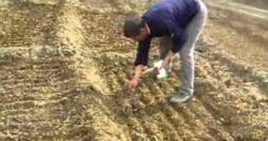 تشريع يعفى التقاوى والبذور من ضريبة "القيمة المضافة" دعما للفلاح