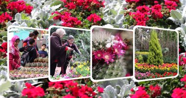 اليوم.. انطلاق معرض زهور الربيع بحديقة الأورمان لمدة 45 يوما