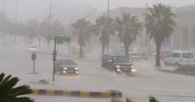 أخبار مصر.. الأرصاد: البلاد تتأثر بحوض جوى بارد وأمطار رعدية ورمال حتى الجمعة