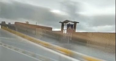 زينب ويونيس عاصفتان تقتلعان الأشجار فى أوروبا فهل تؤثران على مصر؟ تنبؤات الأرصاد ترد زينب ويونيس عاصفتان تقتلعان الأشجار فى أوروبا فهل تؤثران على مصر؟ تنبؤات الأرصاد ترد