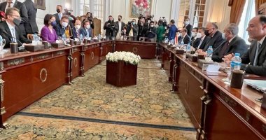 مباحثات مصرية - ألمانية حول القضايا الإقليمية ذات الاهتمام المشترك.. صور