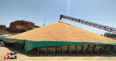 تقرير لوزارة الزراعة الأمريكية: مصر تتجاوز أزمة القمح باحتياطى 4.5 أشهر