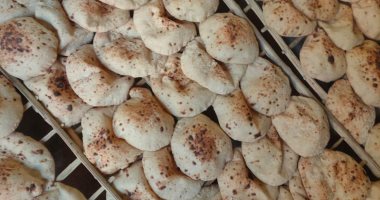 تعرف على موعد تحديد سعر رغيف الخبز السياحى