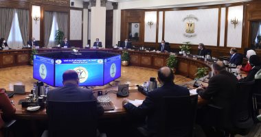 مدبولي يوجه الوزراء المعنيين بوضع تصور لتوفير احتياطى السلع الاستراتيجية لآخر العام مدبولي يوجه الوزراء المعنيين بوضع تصور لتوفير احتياطى السلع الاستراتيجية لآخر العام