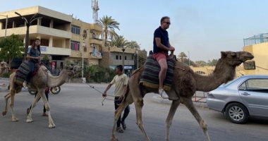 سياح يستمتعون برحلة "سفارى الجمال" فى البر الغربى بالأقصر.. صور سياح يستمتعون برحلة "سفارى الجمال" فى البر الغربى بالأقصر.. صور