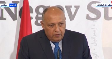 سامح شكرى: أكدنا أهمية دفع عملية السلام بين الفلسطينيين والإسرائيليين