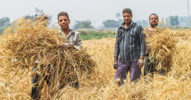 أخبار × 24 ساعة.. التموين: بدء توريد القمح.. ونستهدف استلام 6 ملايين طن أخبار × 24 ساعة.. التموين: بدء توريد القمح.. ونستهدف استلام 6 ملايين طن
