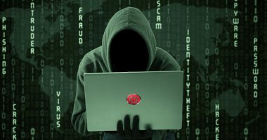 غلق تطبيق نبض بمصر بعد قيام مجهولين باختراقه وبث أخبار كاذبة