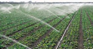 البنك الدولى يشيد بالرى الحديث فى مصر: قصة نجاح يجب عرضها فى مؤتمر المناخ البنك الدولى يشيد بالرى الحديث فى مصر: قصة نجاح يجب عرضها فى مؤتمر المناخ