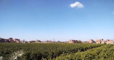 درجات الحرارة المتوقعة طوال أسبوع العيد بجميع الأنحاء.. العظمى بالقاهرة تصل 35 درجات الحرارة المتوقعة طوال أسبوع العيد بجميع الأنحاء.. العظمى بالقاهرة تصل 35