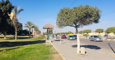 أخبار مصر.. الأرصاد: أجواء ربيعية وانخفاض الحرارة والصغرى بالقاهرة 14 درجة