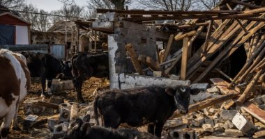 الدفاع الروسية: استهداف 35 مركز مراقبة و15 مستودع أسلحة فى أوكرانيا