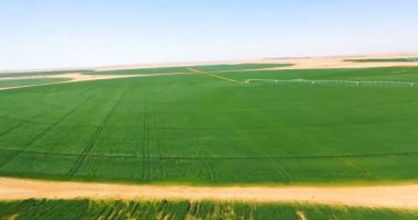 معلومات الوزراء: مشروع توشكى يضيف 1.1 مليون فدان للرقعة الزراعية فى مصر