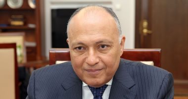 وزير الخارجية يستقبل نظيره القبرصى غدا وإحاطة صحفية تعقب اللقاء