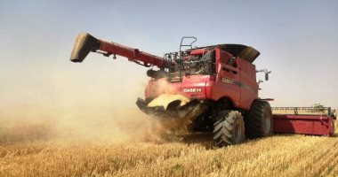 أوكرانيا تطالب بإنشاء "ممر آمن" لتصدير القمح وترجح اللجوء للحماية العسكرية