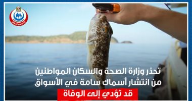 الصحة تحذر من تناول أو صيد سمكة القراض السامة: ليس لسمها علاج.. فيديو