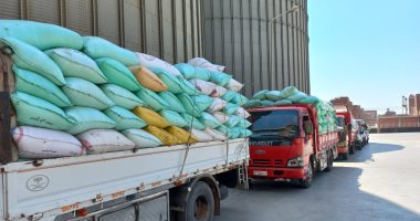 الحكومة: مخزون مصر الاستراتيجى من الأقماح لم يتأثر بتقلبات السوق العالمى الحكومة: مخزون مصر الاستراتيجى من الأقماح لم يتأثر بتقلبات السوق العالمى