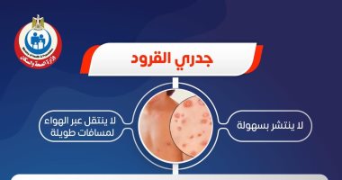 الصحة تكشف حقائق جديدة حول مرض جدرى القرود.. لا ينتشر بسهولة أبرزها الصحة تكشف حقائق جديدة حول مرض جدرى القرود.. لا ينتشر بسهولة أبرزها