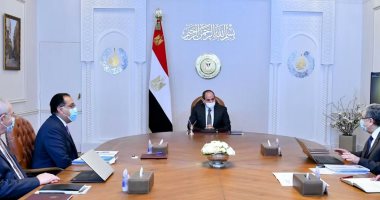 الرئيس السيسي يوجه بتعظيم المكونات المحلية لمنظومة إنتاج الهيدروجين الأخضر