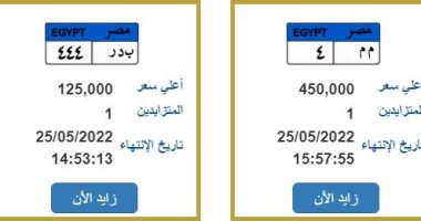 تصل لـ450 ألف جنيه.. اعرف أسعار آخر اللوحات المميزة فى مزاد بوابة مرور مصر