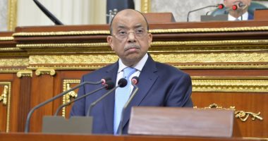 وزير التنمية المحلية: تشكيل لجان مرور ميدانية للتأكد من جودة الطرق بعد رصفها وزير التنمية المحلية: تشكيل لجان مرور ميدانية للتأكد من جودة الطرق بعد رصفها