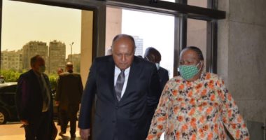 وزير الخارجية يبحث مع نظيرته الجنوب أفريقية تطورات الأوضاع الإقليمية والدولية