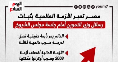 مصر تعبر الأزمة العالمية بثبات.. رسائل وزير التموين أمام جلسة مجلس الشيوخ (إنفوجراف)