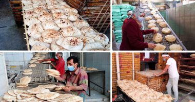 التنمية المحلية: تحصيل غرامات 1.6 مليار جنيه على أصحاب المخابز المخالفة التنمية المحلية: تحصيل غرامات 1.6 مليار جنيه على أصحاب المخابز المخالفة