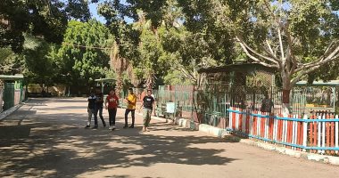 بـ5 جنيهات.. حديقة الحيوان تستقبل المصريين كل ثلاثاء طوال إجازة الصيف بـ5 جنيهات.. حديقة الحيوان تستقبل المصريين كل ثلاثاء طوال إجازة الصيف