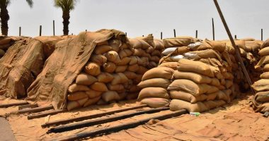 وزير التموين: التعاقد على شراء 180 ألف طن قمح من الهند والتوريد قريبا