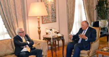وزير الخارجية يؤكد موقف مصر الراسخ من دعم الحقوق المشروعة للشعب الفلسطينى
