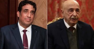 وكالة الأنباء الليبيبة: المنفى وعقيلة يبحثان فى القاهرة سبل الخروج من الانسداد السياسى فى ليبيا