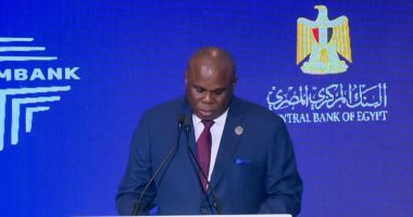 البنك الأفريقى للتصدير يشيد بالطفرة الاقتصادية فى مصر: أفريقيا قادرة