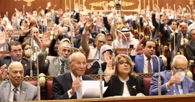 مجلس الشيوخ يوافق نهائيا على قانون الرياضة