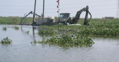 جهاز تنمية البحيرات: تكريك 120 مليون متر وإزالة تعديات بحيرة المنزلة بالكامل
