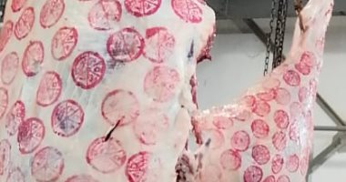 "التموين" تعلن زيادة ضخ اللحوم بالمجمعات الاستهلاكية استعدادا لعيد الأضحى