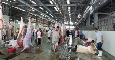 مدير عام المجازر: مستعدون لاستقبال الأضاحى خلال أيام العيد مدير عام المجازر: مستعدون لاستقبال الأضاحى خلال أيام العيد