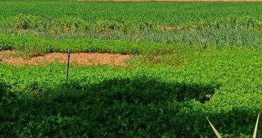 200 ألف جنيه غرامة عدم تقديم دراسات المشروعات التنموية بقانون الرى الجديد