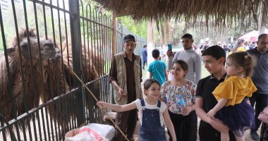 المجازر تستقبل 19 ألف رأس من أضاحي المواطنين و100 ألف زائر لحديقة الحيوان