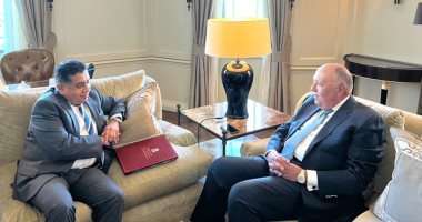 شكرى يبحث مع وزير بريطانى زيادة استثمارات المملكة المتحدة فى مصر