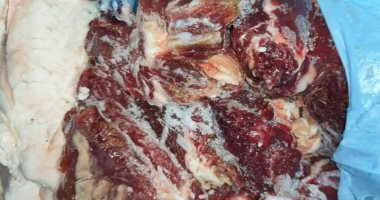 طبيبة: تناول لحوم حيوان مصاب بالحمى القلاعية غير محموم لا ينقل العدوى للإنسان طبيبة: تناول لحوم حيوان مصاب بالحمى القلاعية غير محموم لا ينقل العدوى للإنسان