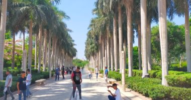 حديقة الأزهر تستقبل الزائرين للاحتفال بأول أيام عيد الأضحى المبارك.. صور حديقة الأزهر تستقبل الزائرين للاحتفال بأول أيام عيد الأضحى المبارك.. صور