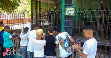‫حديقة الحيوان تعلن استقبال نصف مليون زائر خلال إجازة عيد الأضحى