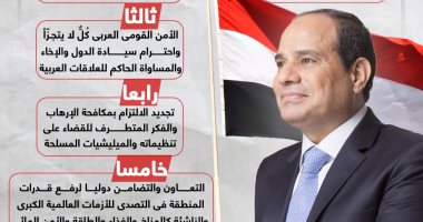 5 مبادئ من أجل الازدهار.. الرئيس السيسي يضع روشتة لعلاج أزمات المنطقة..إنفوجراف