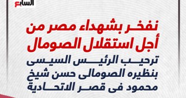 ترحيب الرئيس السيسي بنظيره الصومالى حسن شيخ محمود بقصر الاتحادية..إنفوجراف